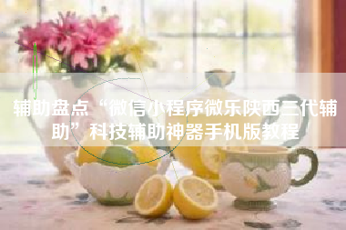 辅助盘点“微信小程序微乐陕西三代辅助”科技辅助神器手机版教程