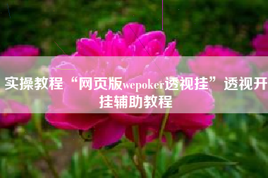 实操教程“网页版wepoker透视挂	”透视开挂辅助教程