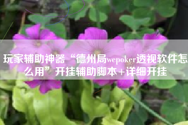 玩家辅助神器“德州局wepoker透视软件怎么用	”开挂辅助脚本+详细开挂