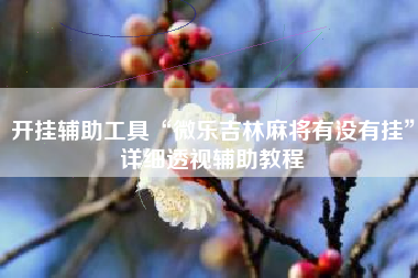 开挂辅助工具“微乐吉林麻将有没有挂”详细透视辅助教程