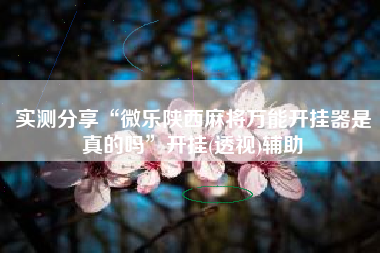 实测分享“微乐陕西麻将万能开挂器是真的吗”开挂(透视)辅助