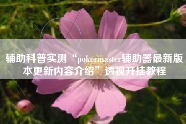 辅助科普实测“pokermaster辅助器最新版本更新内容介绍	”透视开挂教程