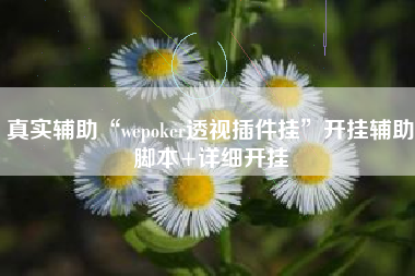 真实辅助“wepoker透视插件挂”开挂辅助脚本+详细开挂