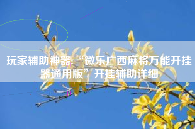 玩家辅助神器:“微乐广西麻将万能开挂器通用版”开挂辅助详细