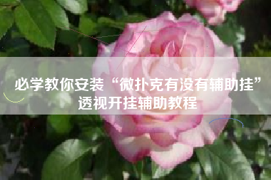 必学教你安装“微扑克有没有辅助挂”透视开挂辅助教程