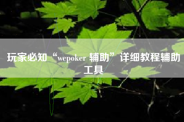 玩家必知“wepoker 辅助”详细教程辅助工具
