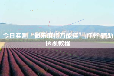 今日实测“微乐麻将万能挂	”(作弊)辅助透视教程