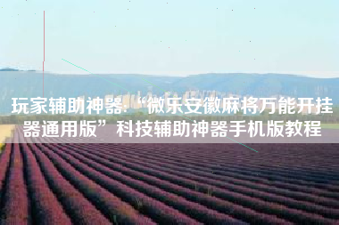 玩家辅助神器:“微乐安徽麻将万能开挂器通用版”科技辅助神器手机版教程