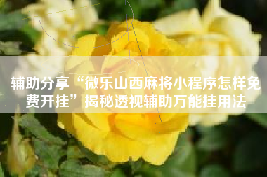 辅助分享“微乐山西麻将小程序怎样免费开挂”揭秘透视辅助万能挂用法