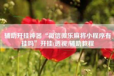 辅助开挂神器“微信微乐麻将小程序有挂吗”开挂(透视)辅助教程