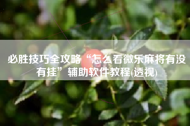 必胜技巧全攻略“怎么看微乐麻将有没有挂”辅助软件教程(透视)