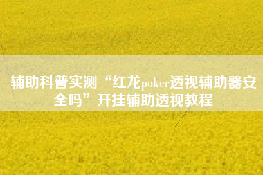 辅助科普实测“红龙poker透视辅助器安全吗”开挂辅助透视教程