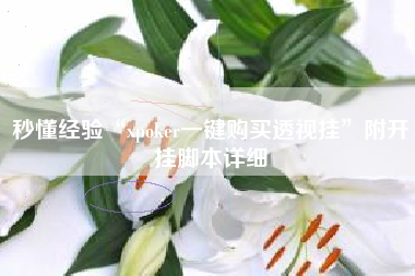 秒懂经验“xpoker一键购买透视挂”附开挂脚本详细