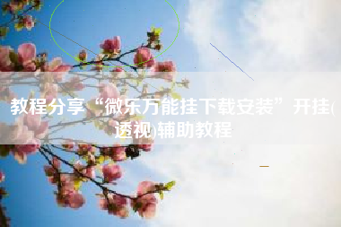 教程分享“微乐万能挂下载安装”开挂(透视)辅助教程