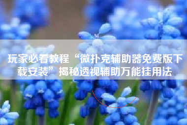 玩家必看教程“微扑克辅助器免费版下载安装	”揭秘透视辅助万能挂用法