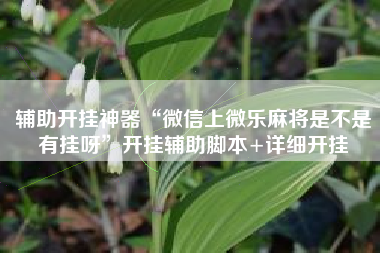 辅助开挂神器“微信上微乐麻将是不是有挂呀	”开挂辅助脚本+详细开挂