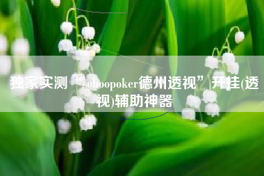独家实测“sohoopoker德州透视”开挂(透视)辅助神器