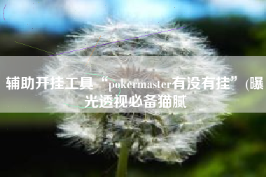 辅助开挂工具“pokermaster有没有挂	”(曝光透视必备猫腻