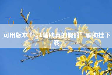 可用版本“wpk辅助真的假的	”辅助挂下载