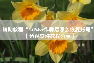 辅助教程“AAPoker作弊后怎么恢复账号”【透视软件教程分享】