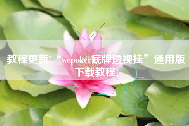 教程更新!“wepoker底牌透视挂”通用版下载教程!