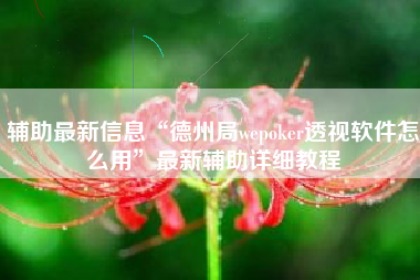 辅助最新信息“德州局wepoker透视软件怎么用	”最新辅助详细教程