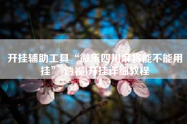 开挂辅助工具“微乐四川麻将能不能用挂”(透视)开挂详细教程