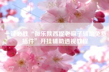 一键必胜“微乐陕西捉老麻子辅助免费插件”开挂辅助透视教程