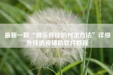 最新一款“微乐开挂的判定方法”详细外挂透视辅助软件教程