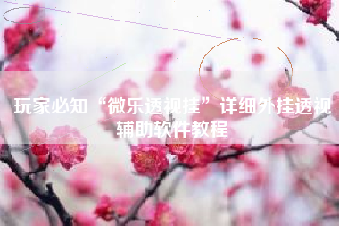 玩家必知“微乐透视挂	”详细外挂透视辅助软件教程