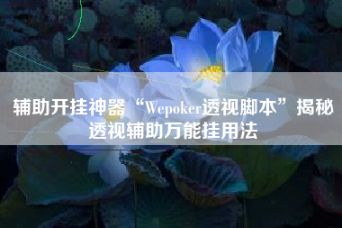 辅助开挂神器“Wepoker透视脚本”揭秘透视辅助万能挂用法