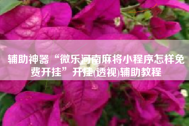 辅助神器“微乐河南麻将小程序怎样免费开挂	”开挂(透视)辅助教程