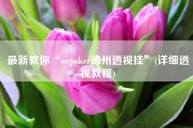 最新教你“wepoker德州透视挂	”(详细透视教程)