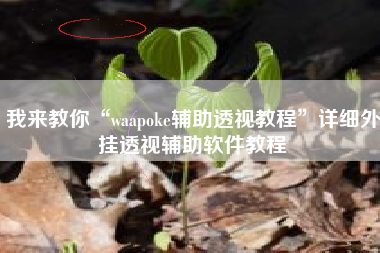 我来教你“waapoke辅助透视教程	”详细外挂透视辅助软件教程