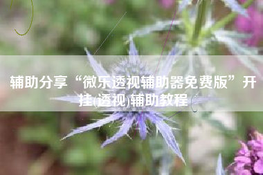 辅助分享“微乐透视辅助器免费版”开挂(透视)辅助教程