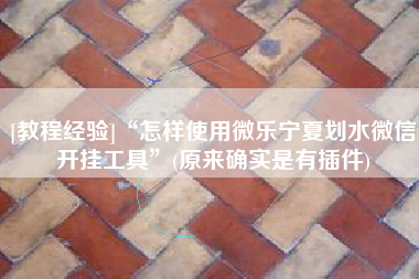 [教程经验]“怎样使用微乐宁夏划水微信开挂工具	”(原来确实是有插件)