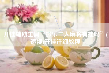 开挂辅助工具“微乐二人麻将有挂吗	”(透视)开挂详细教程