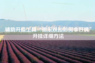 辅助开挂工具“微乐双扣如何拿好牌”开挂详细方法