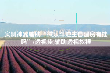 实测神器辅助“微乐斗地主自建房有挂吗”(透视挂)辅助透视教程