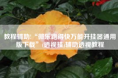 教程辅助!“微乐跑得快万能开挂器通用版下载	”(透视挂)辅助透视教程