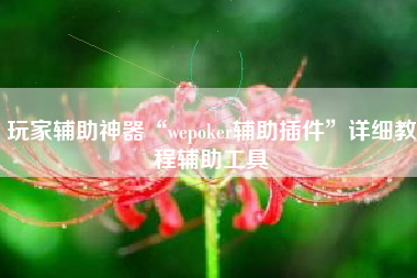 玩家辅助神器“wepoker辅助插件	”详细教程辅助工具
