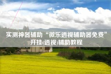 实测神器辅助“微乐透视辅助器免费”开挂(透视)辅助教程