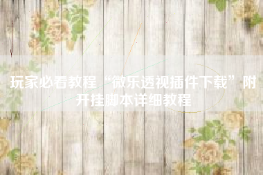 玩家必看教程“微乐透视插件下载”附开挂脚本详细教程