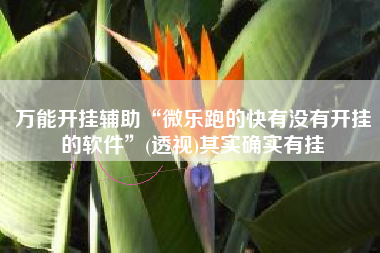 万能开挂辅助“微乐跑的快有没有开挂的软件	”(透视)其实确实有挂