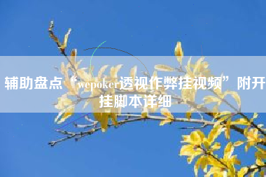辅助盘点“wepoker透视作弊挂视频”附开挂脚本详细