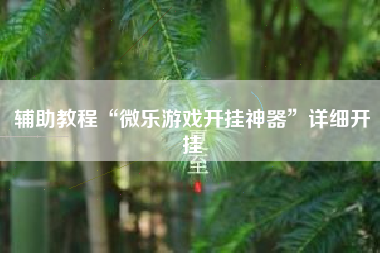 辅助教程“微乐游戏开挂神器”详细开挂