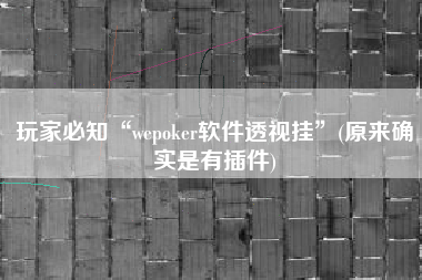 玩家必知“wepoker软件透视挂”(原来确实是有插件)