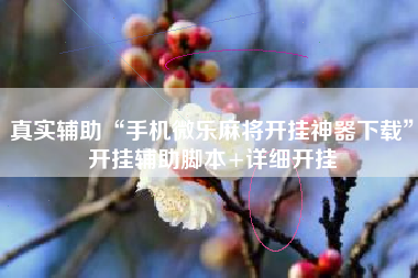 真实辅助“手机微乐麻将开挂神器下载”开挂辅助脚本+详细开挂