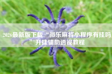 2026最新版下载“微乐麻将小程序有挂吗	”开挂辅助透视教程