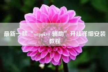 最新一款“wepoker 辅助	”开挂详细安装教程